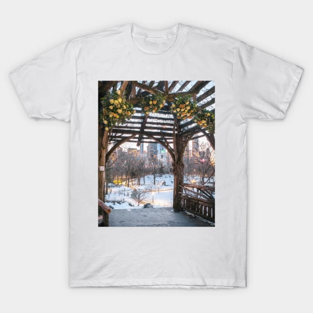Central Park Winter T-Shirt by igjustin